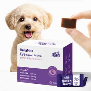 벨라맥스 SBS TV 동물농장 수의사 강아지 눈 영양제 루테인