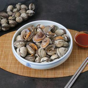 당일채취 제철 벌교 오동통 새꼬막 대 1kg (kg당, 80미 내외)
