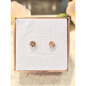 미니골드 14k 펠리시아 귀걸이 (6mm)-샴페인 EJCM4255