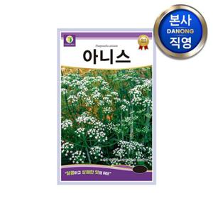 아니스 허브 씨앗 1g . 정원 텃밭 꽃밭 식물 심기 파종 키우기 꽃씨 종자.