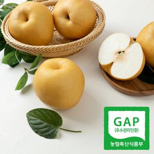 [달찐과일] 25년 햇 나주배 가정용 3kg (7-9과)
