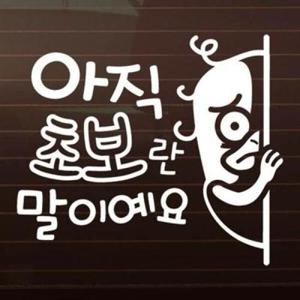 아트박스/제제데코 힝~초보란 말이예요_덕구 [자동차스티커/초보