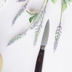 낚시칼 파카우드 캠핑과도 히로타 과도 칼 과일칼