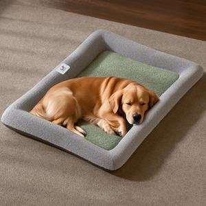 딩동펫 반려동물 필로우 구름 모찌방석 M