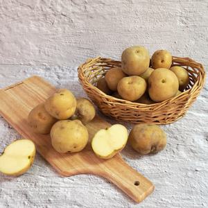 [더조은] 해남 산지직송 수미감자 특 3kg (130-180g 내외)