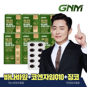 GNM 혈당 혈압 기억력엔 바나바잎 코큐텐 징코 6박스