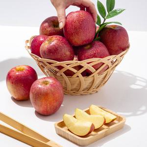 [더조은] 경북 감홍사과 실속형 3kg 쥬스용 랜덤과