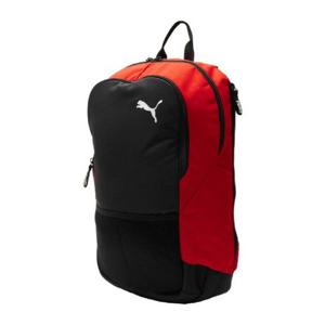 [푸마]M 푸마백팩 ZQC 090239-03 푸마 팀골 백팩