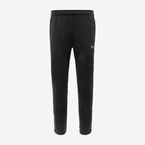 [푸마]푸마) 인디비쥬얼컵 트레이닝 팬츠 ASIA SP 660486-07