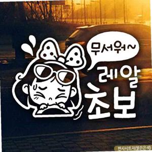 자동차스티커 무서워레알초보 동글이 초보운전 반사
