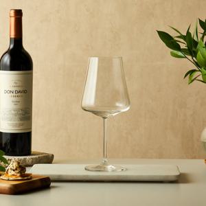 [모던하우스] 파티룸 알루어 레드 와인잔 600ml