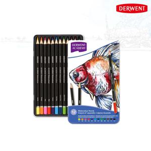 더웬트 아카데미 수채색연필 12색