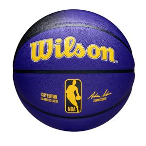 윌슨 2024 NBA 팀 시티 컬렉터 농구공 B1 W24010IKI060 AST