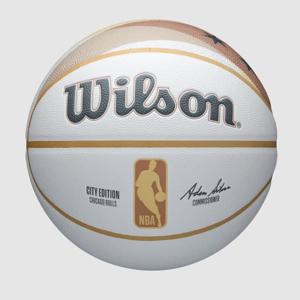 윌슨 2024 NBA 팀 시티 컬렉터 농구공 B1 W24010IKI054 AST