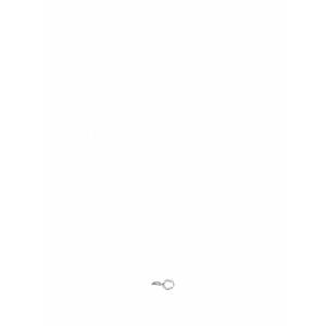 [MARNI] 라프리마 여성 귀걸이 주얼리 ORMV0616A0P6527 00N29 PALLADIUM /9