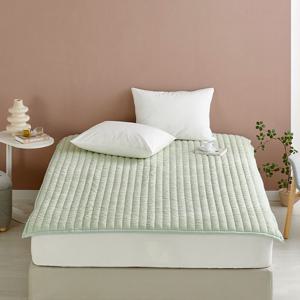 [모던하우스] 소프트워싱 극세사 양면패드 퀸 그린