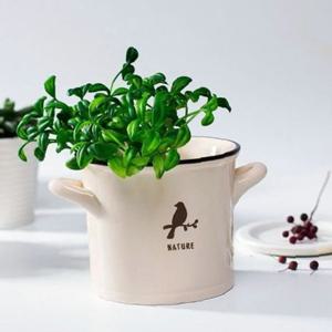 데스크 미니화분 세라믹 식물 조화 다육이 홈가드닝