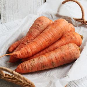 국내산 흙당근 중 (쥬스용) 5kg