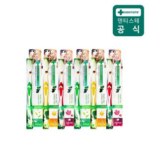 덴티스테  센서티브 칫솔 6개
