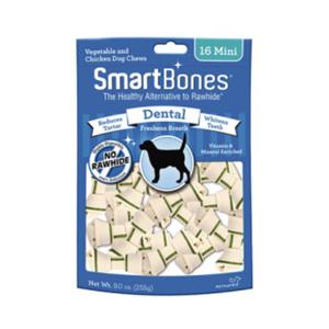 스마트본 덴탈 미니 16개입