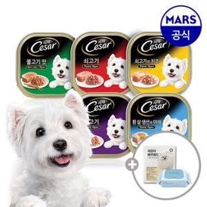 시저 주식 캔 100gx48개 골라담기+배변패드+베베숲물티슈1팩