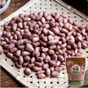 25년 전북 고창 황토밭에서 생산되는 농협 햇 생 알땅콩 1kg