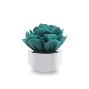 [무케] 엠아이디자인_미니 천연 가습기(HND-0016) (2colors)