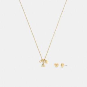 코치 체리 하트 피어스 네크리스 세트 CCU45-GLD