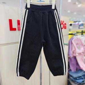 리틀밥독 sh06 챔피PT B244MWP18