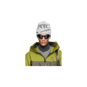 25 FW 아크테릭스 남성 그레이 그로토 비니 252340M138001