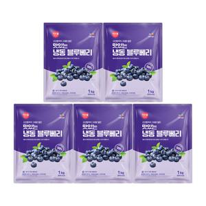 CJ프레시웨이 이츠웰 냉동블루베리1Kg x 5개