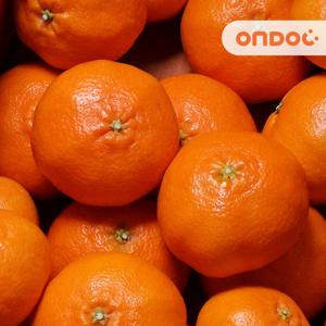 [온도씨]제주 고당도 레드향 2.5kg 중과 (10-12과내외)