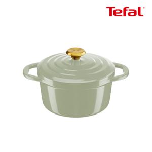 테팔 인덕션 세라믹 에어주물냄비 페어그린 양수20cm