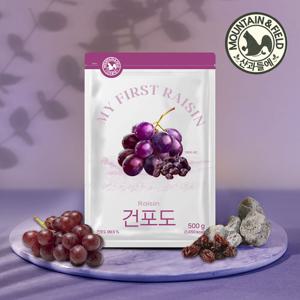 [산과들에] 미국산 건포도 500g (건과일)