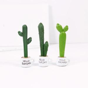 쁘띠 선인장 미니어처 3종세트