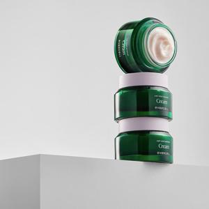 에버셀 셀 바이탈 리뉴얼 크림 60g 니도겐 표피 줄기세포배양액