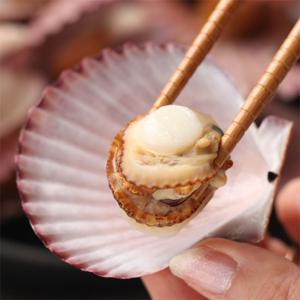 [해다원]알이 큼지막한 통영 홍가리비 3kg (75미 내외)