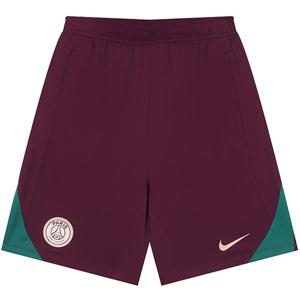 나이키 파리 생제르맹 드라이 핏 스트라이크 쇼츠 (FN9394-610)