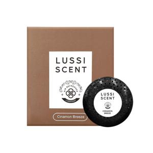 루시센트 고급 명품 가죽 차량용 방향제 디퓨저 세트 리필용