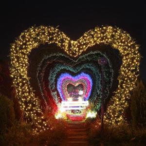 트리전구 은하수 300구 녹색선 LED 웜색 지니전구 30M 점멸