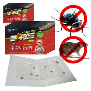 로치엔드 쥐파리 쥐잡이 끈끈이 2매팩 5개 쥐