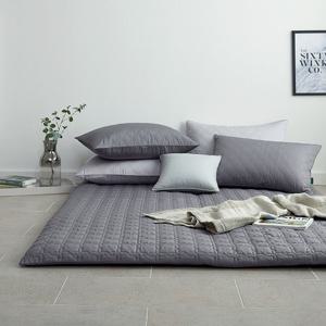 [세사]스탠디2 알러지케어 요커버 Q