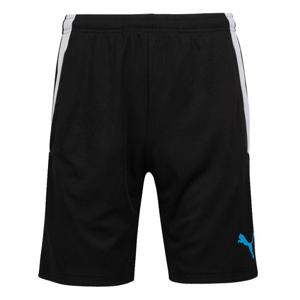 푸마 팀리가 트레이닝 쇼츠(65766746)