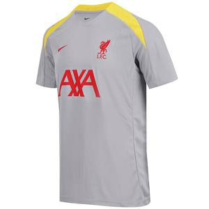 나이키 리버풀 FC 드라이 핏 스트라이크 써드 탑 (FQ2611-078)
