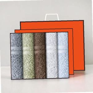 송월타올 호텔수건 데이라인 110g 5p선물세트(쇼핑백)