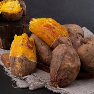 [신선연구소] 해남 꿀 밤고구마 5kg 대왕(300-550g)