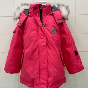 [리틀밥독]롤리다운C/T B164MCT02