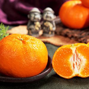 [밋앤밀] 제주 산지직송 선별 레드향 2.5kg 중대과(10∼13과)