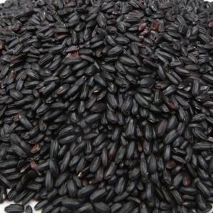 햅 찰흑미 1kg 진도산 찰진주 25년산 국산 [단의잡곡]