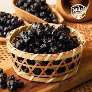 갤러리아_넛츠오차드 건블루베리 800g